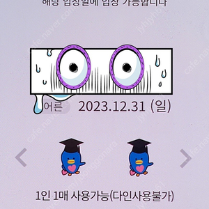 12월31일 롯데월드 매직패스 10회권