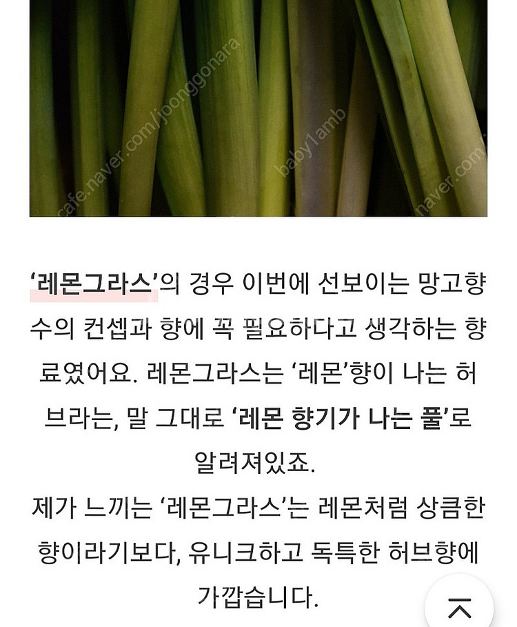 텀블벅 향수 스튜디오월든 망고빙수 50ml--4