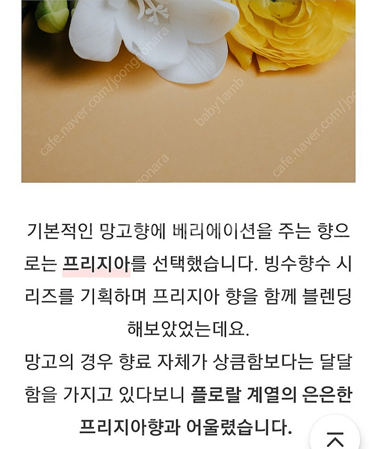 텀블벅 향수 스튜디오월든 망고빙수 50ml--5