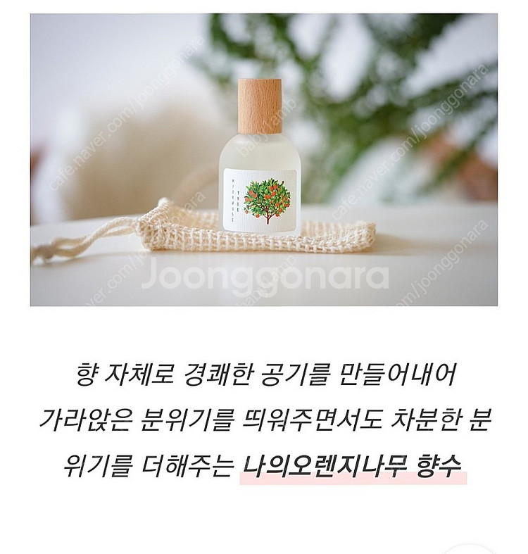 텀블벅 향수 스튜디오월든 나의 오렌지나무 50ml--2