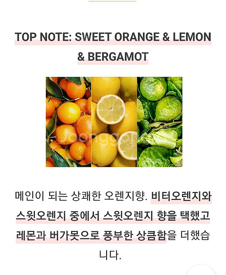 텀블벅 향수 스튜디오월든 나의 오렌지나무 50ml--3
