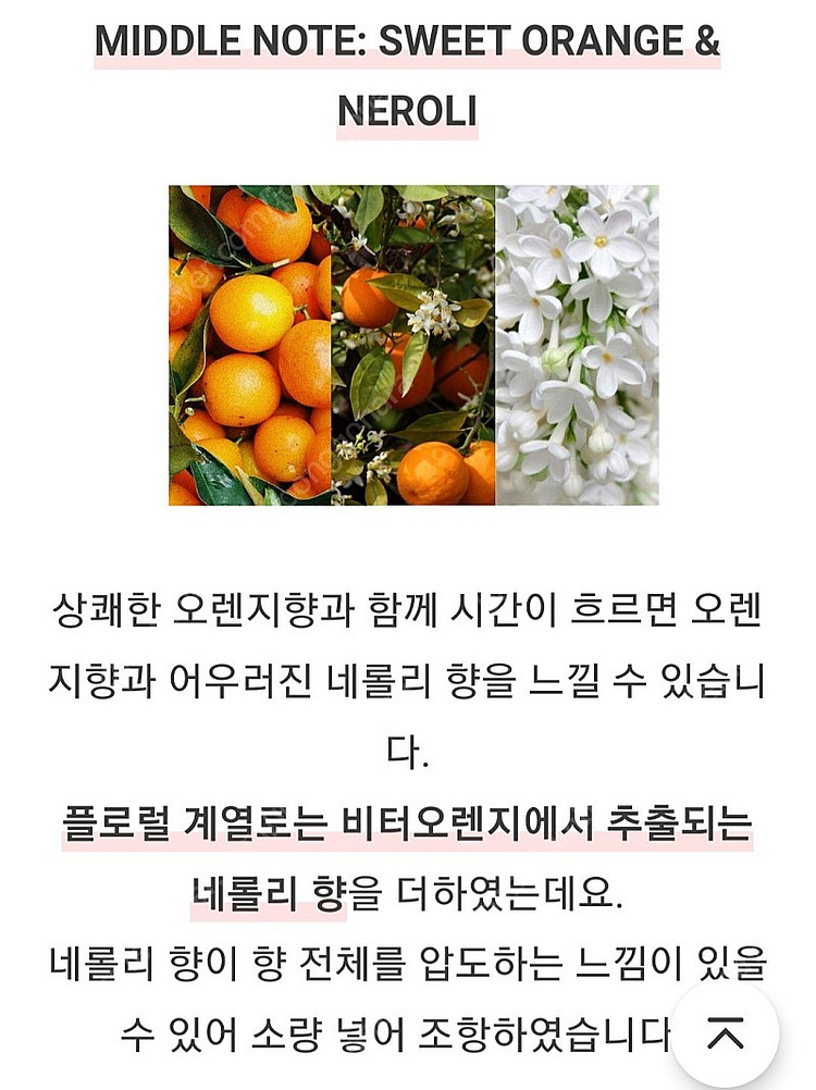 텀블벅 향수 스튜디오월든 나의 오렌지나무 50ml--5