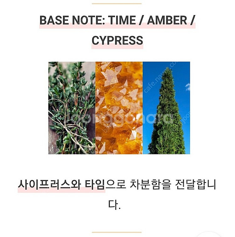 텀블벅 향수 스튜디오월든 나의 오렌지나무 50ml--6