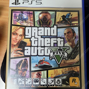 ps5용 GTA5