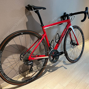 스페셜라이즈드 타막 디스크 Comp 52cm 2019 - 7.7kg [Specialized]