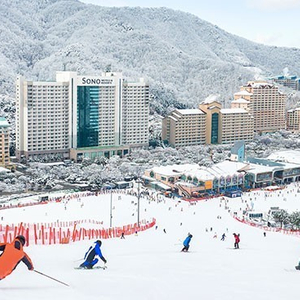 [오늘숙박] 12/31일 홍천비발디 콘도 양도!!