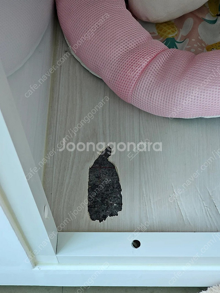 애견호텔장, 애견옷장,간식장(일체형,양면사용) [[용달...--3
