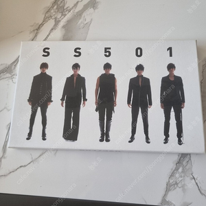 SS501 앨범