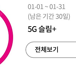 LGU+ 데이터 2GB 팝니다!
