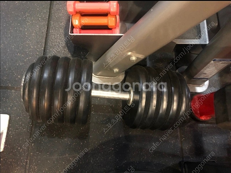 [부산] 50kg 덤벨/아령 1개--0