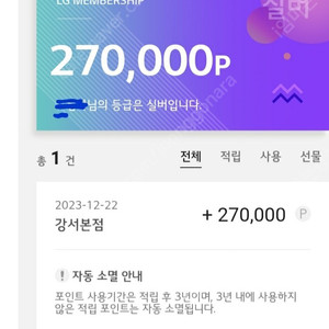 LG전자 멤버쉽포인트 270000P