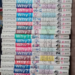 와이 Why 책 38권