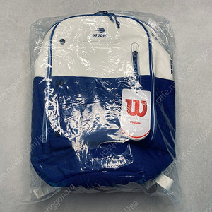 윌슨백팩