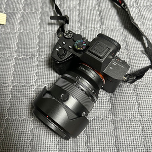 소니 A7R4a 500컷 미만, 2070G, 55.8Z