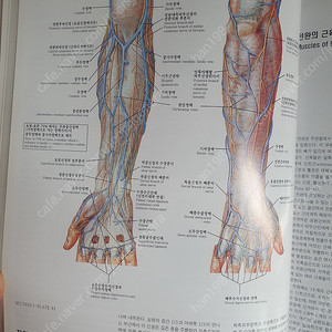 의학도서 CIBA