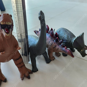 소프트공룡