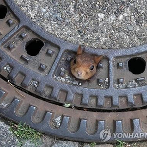 신세계상품권 교환권 (15만원) 95% 판매합니다.