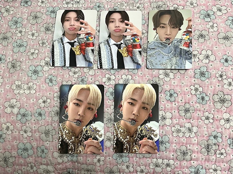 샤이니 핑크 크리스마스 랜덤팩 키 기범 태민 포카 이미지