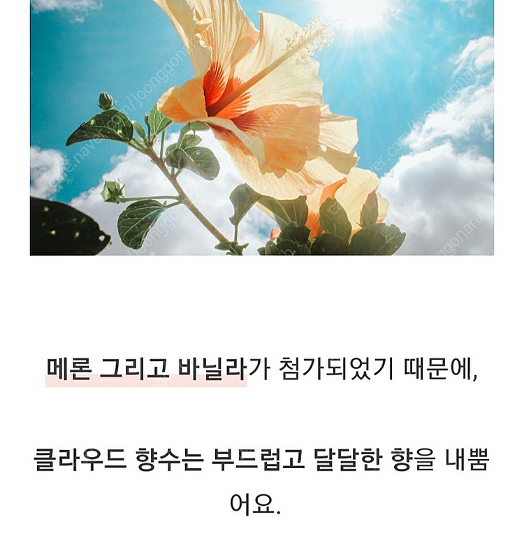 텀블벅 향수 스튜디오월든 클라우드 30ml--6