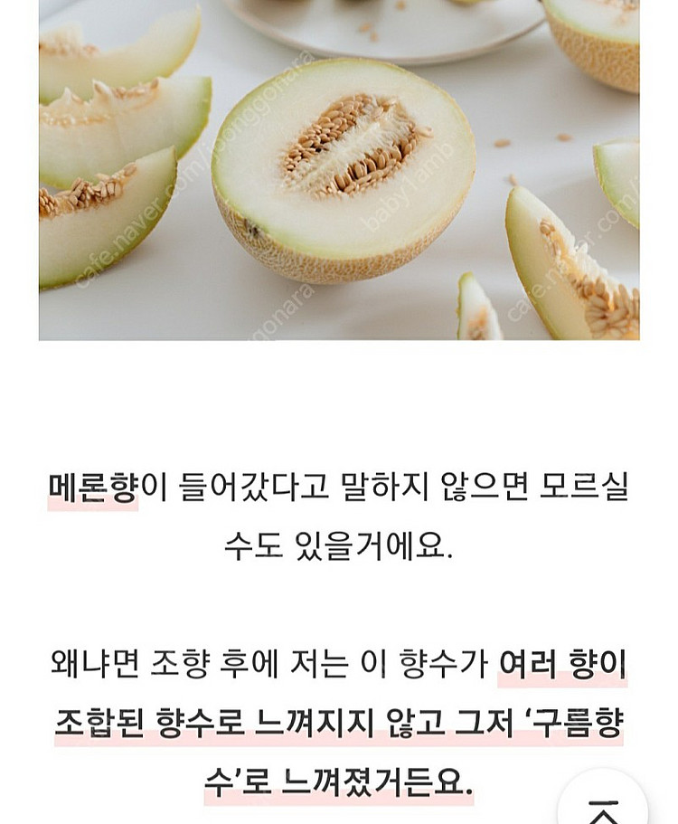 텀블벅 향수 스튜디오월든 클라우드 30ml--7