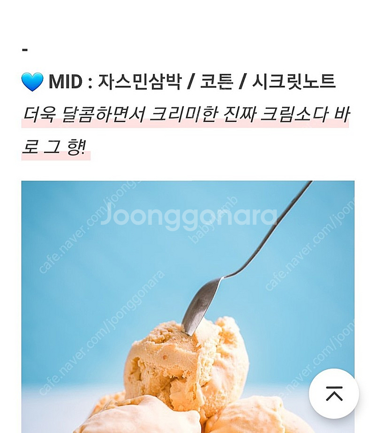 텀블벅 향수 슬라이 크림소다 30ml--4
