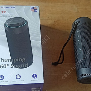 트론스마트 T7(tronsmart t7)