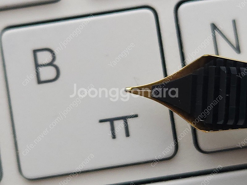 만년필 다수 팝니다--3