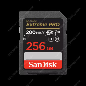 샌디스크 SD Extreme Pro 2019 (256GB)