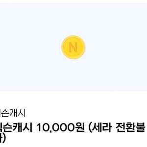 넥슨캐시 1만원권 ㅡ 8,900원
