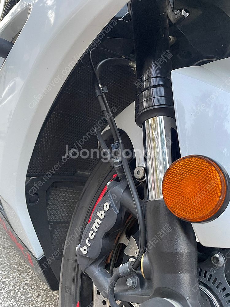 R1000 19년식 꿍도없음 무사고 2대주--6