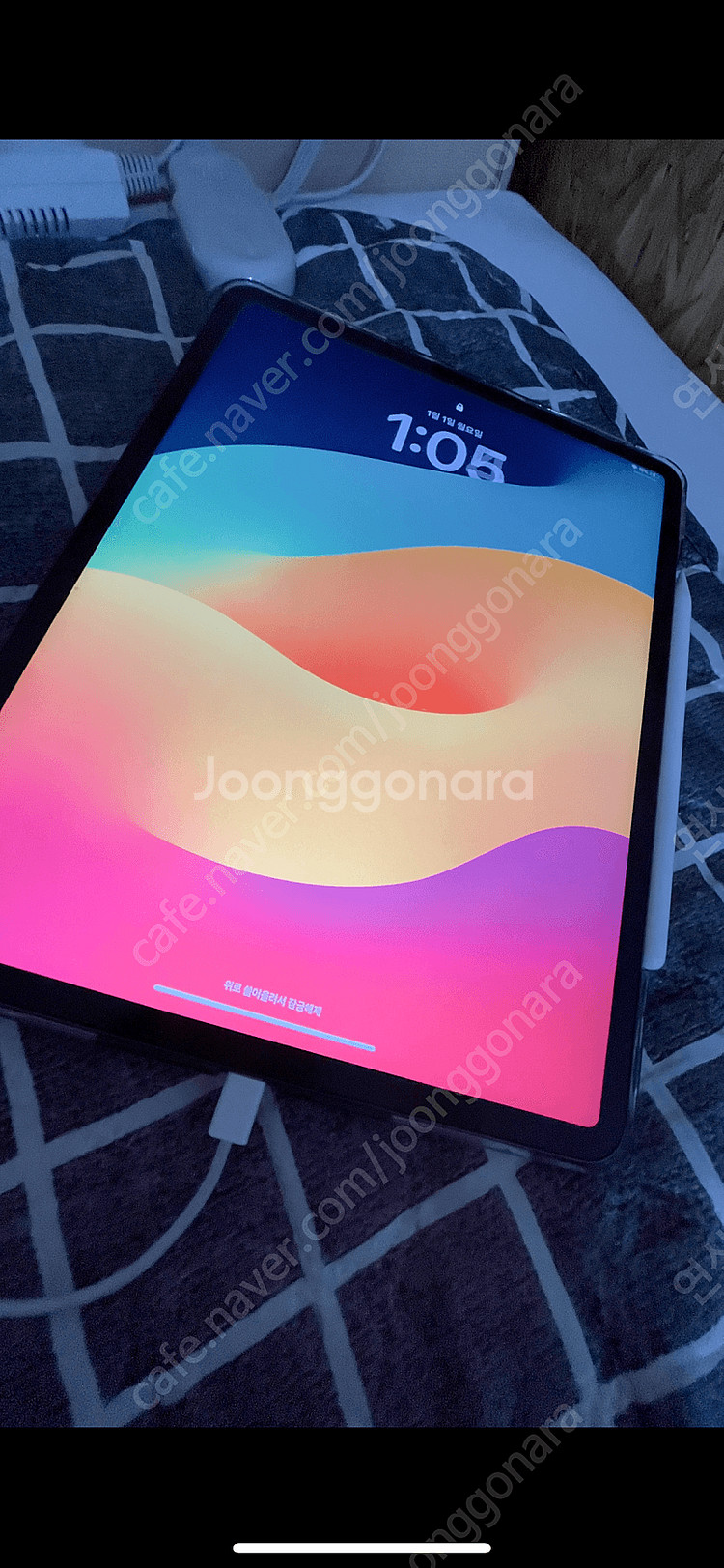 아이패드프로4세대 12.9 / 256 / 스그--1