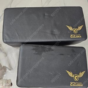 카니발차박매트 세트