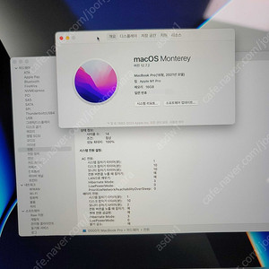 맥북 M1 프로 실버 16인치 램16 1테라 팝니다