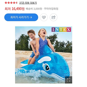 인덱스 돌고래튜브