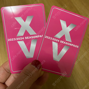 X5 시즌권 양도