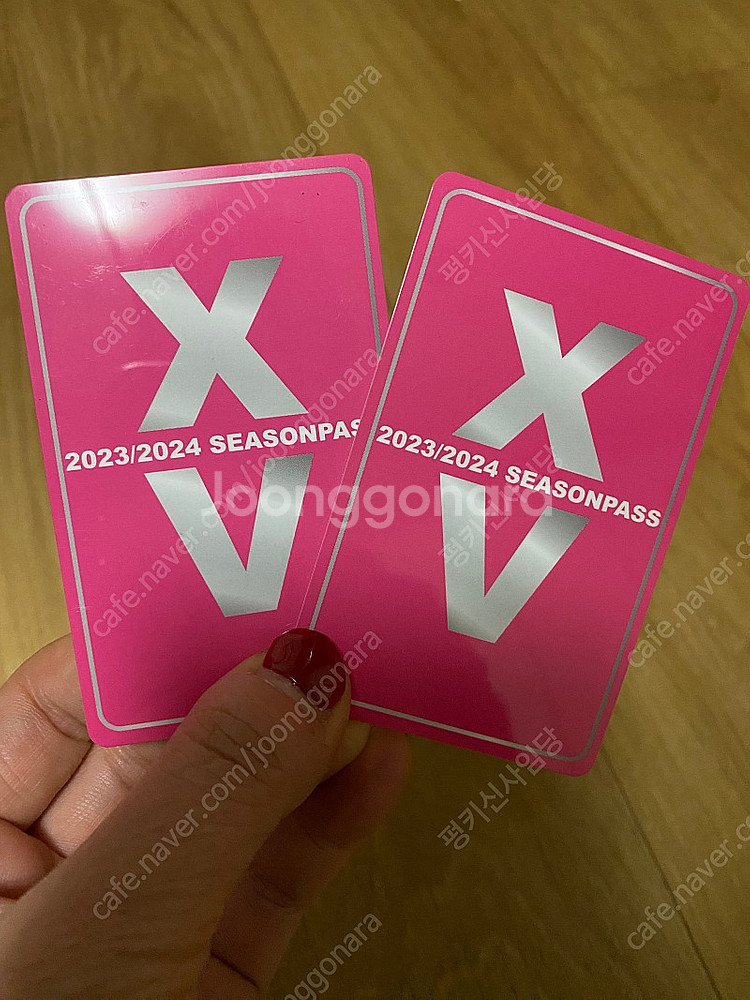 스키시즌권 X5 양도--0