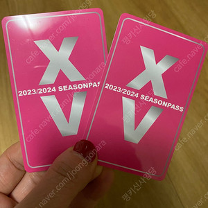 스키시즌권 X5 양도