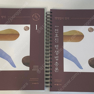 전효진 2024 행정법의 정석 기본서 (두권 세트)