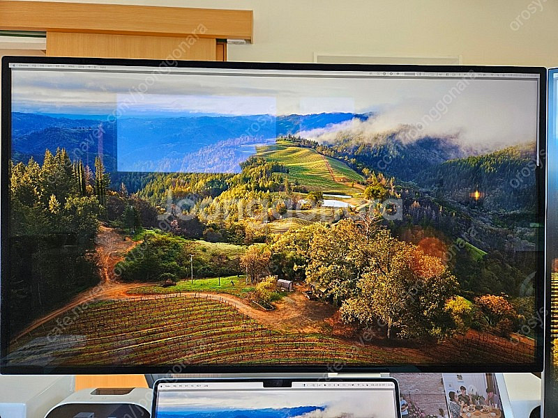 애플 프로 디스플레이 xdr (apple pro xdr...--1