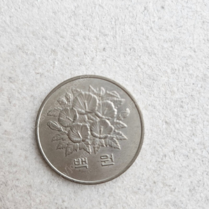 제5공화국 100원 짜리 동전 1981년