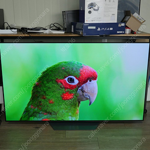 엘지 중고 65인치 올레드 티비 LG TV OLED65B1KNA