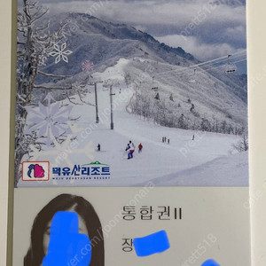 무주 시즌권 (성인, 통합권II) 양도합니다.
