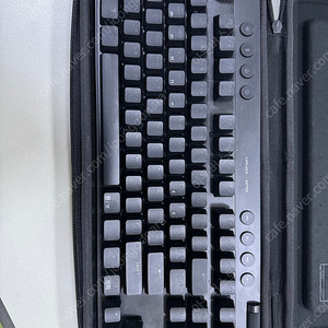 로지텍 g pro x tkl 키보드 갈축