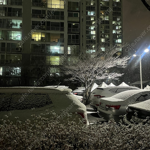 오늘 10일 산천어축제 티켓판매