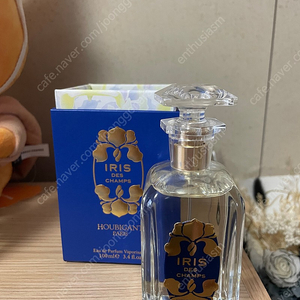 우비강 아이리스 데샹 100ml