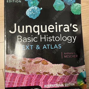 Junqueira's basic histology : text and atlas