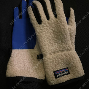 파타고니아 레트로 파일 장갑 XS