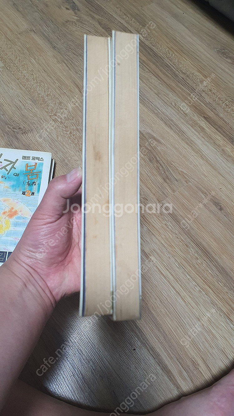 김수정 만화 0달자의 봄, 소금자 블루스 판매합니다.--6