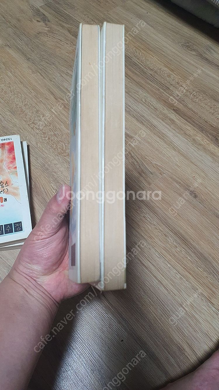 김수정 만화 0달자의 봄, 소금자 블루스 판매합니다.--7
