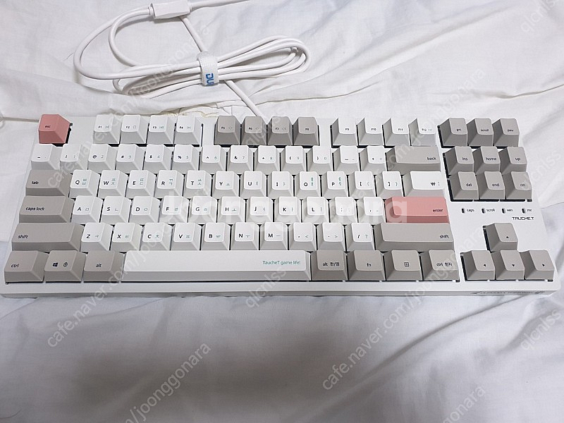 씽크웨이 토체티 갈축 팝니다--0